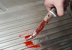 آتش سوزی در جنگل‌های ارسباران + فیلم