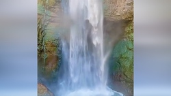 مجسمه‌ای سه بعدی که توجه بسیاری را به خود جلب کرد + فیلم