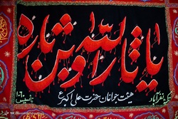 اولین ها ، بهار کام تهران را شیرین کرد