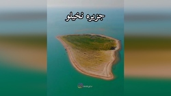 لحظه دلخراش برق‌گرفتگی پرندگان بر روی کابل برق + فیلم