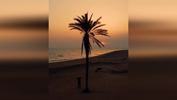 سرسره آبی ۸۰ متری وسط دریا + فیلم