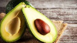 کاشت بذر در بطری‌های پلاستیکی + فیلم