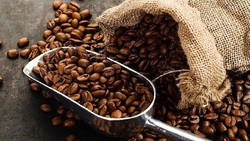 چه زمانی قهوه بخوریم؟+ فیلم