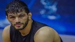 شکار دیدنی غزال توسط پلنگ + فیلم