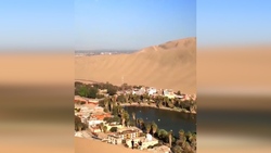 زیباترین و جالب ترین موجودات دریایی زیر آب + فیلم