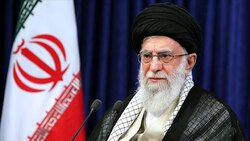 لحظاتی ناب از تولد کرگدن سیاه شرقی! + فیلم