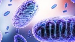راه‌های فرار بیماران دیابتی از ویروس کرونا + فیلم