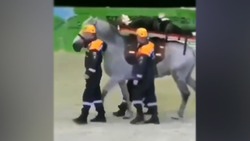 مسابقه جالب ساخت ماکت ناوبری دریایی در چین + فیلم