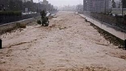 رودخانه خشک شیراز زنده شد + فیلم