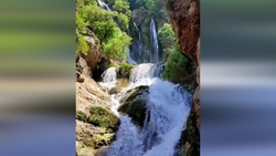 فیلمی جالب از لحظه جمع آوری عسل طبیعی کوهستان + فیلم