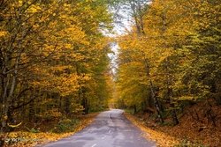 پاییز زیبا در کشمیر