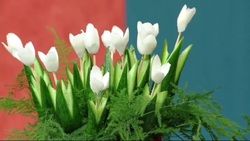 میوه آرایی برای شب یلدا + فیلم