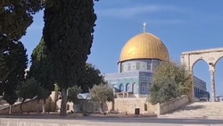 سجده کبوتر به خانه خدا + فیلم