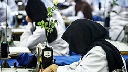 تولید ام دی اف ضدآب در خوزستان + فیلم