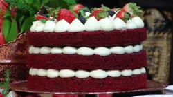 طرز تهیه کیک پنیر و شوید + فیلم