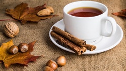 چگونگی فرآوری دارچین + فیلم