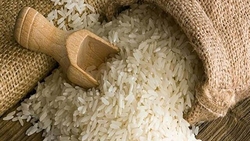 تاریخچه شکلات در جهان مربوط به کدام دوره است؟ + فیلم