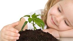 نکاتی مهم در تحلیل نقاشی کودک + فیلم