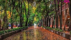 نمای برفی آبشارخانه سفید درود + فیلم