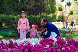 «باغ ایرانی»، بهشت کوچک پایتخت