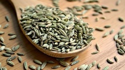 خواص گیاه رازیانه + فیلم