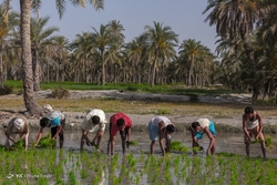 آرزویی برای فردا