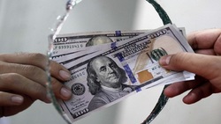 دولت امسال برای رعایت معیشت مردم، افزایش قیمت ارز ترجیحی را اجرا نکرد
