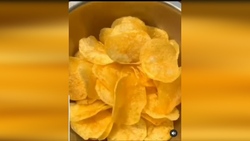 تهیه شیرینی از جلبک برای حفاظت از محیط زیست + فیلم