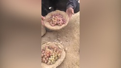 کلاهی که مجهز به خنک کننده است! + فیلم