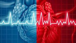 رژیم غذایی بیماران دیابتی + فیلم