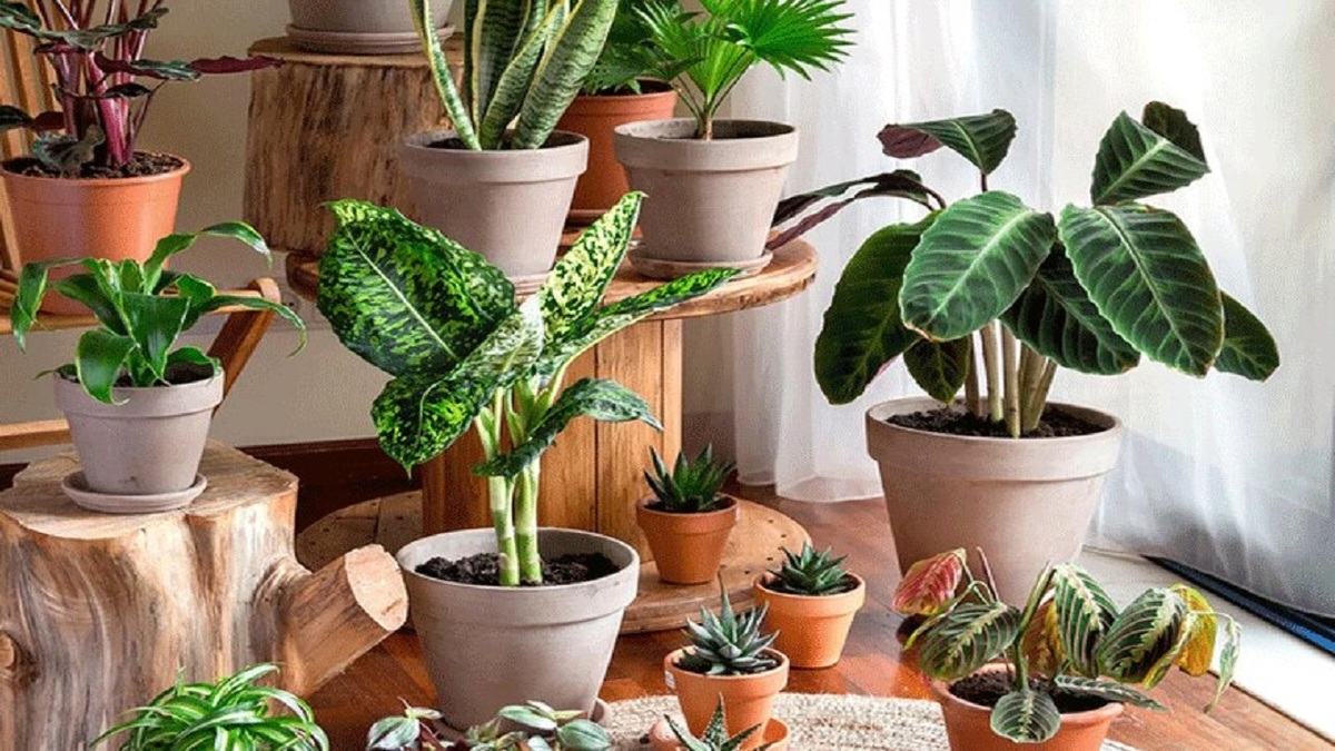 نحوه مراقبت از وسایل چرمی + فیلم
