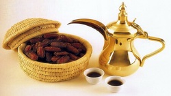 تهیه یکی از گران‌ترین قهوه‌های دنیا از مدفوع گربه + فیلم