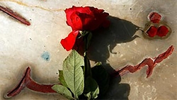 ماجرای نگین انگشتر حاج قاسم از شیشه حرم امام رضا + فیلم