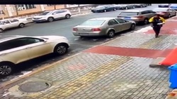 تشخیص اعداد زوج و فرد توسط زنبور عسل + فیلم