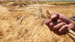 ثبت رکورد ۱۲ دقیقه غواصی بدون کپسول اکسیژن + فیلم
