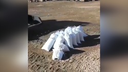 کشاورزی در اعماق اقیانوس + فیلم