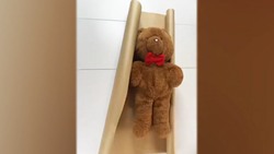 ساخت یک وسیله دکوری با پوست پسته! + فیلم