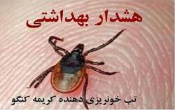 جگر و استیک را آب‌دار نخورید ! + فیلم