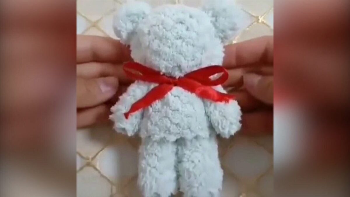 نکات مهم برای نگهداری از جارو برقی + فیلم