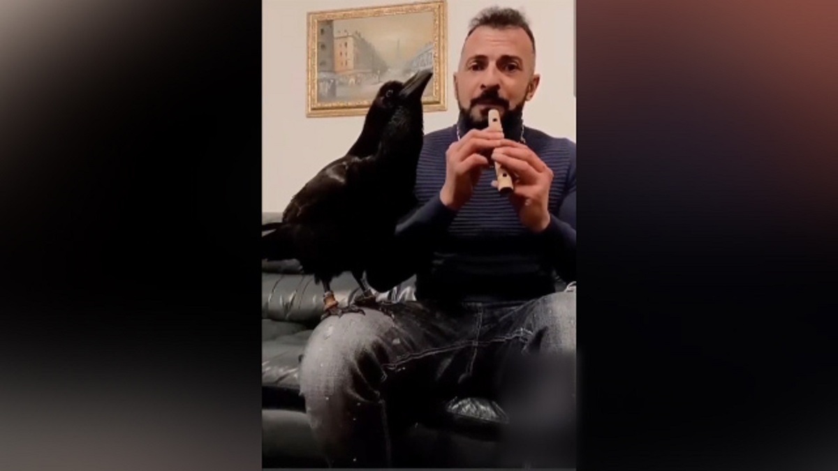سرعت عمل و هماهنگی هنرمند پاکستانی + فیلم