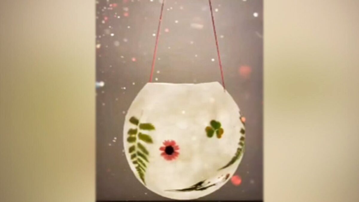 میوه‌هایی که برای جلوگیری از کم خونی مفید است + فیلم