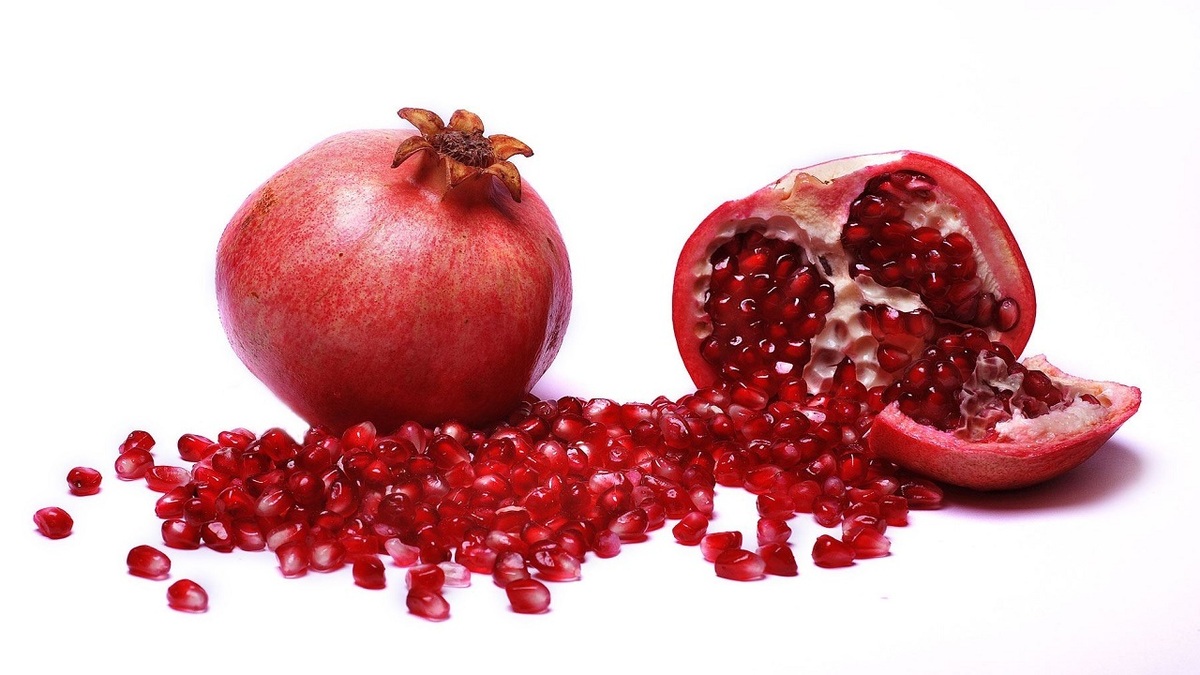 آنچه باید در مورد قوز بدانیم + فیلم