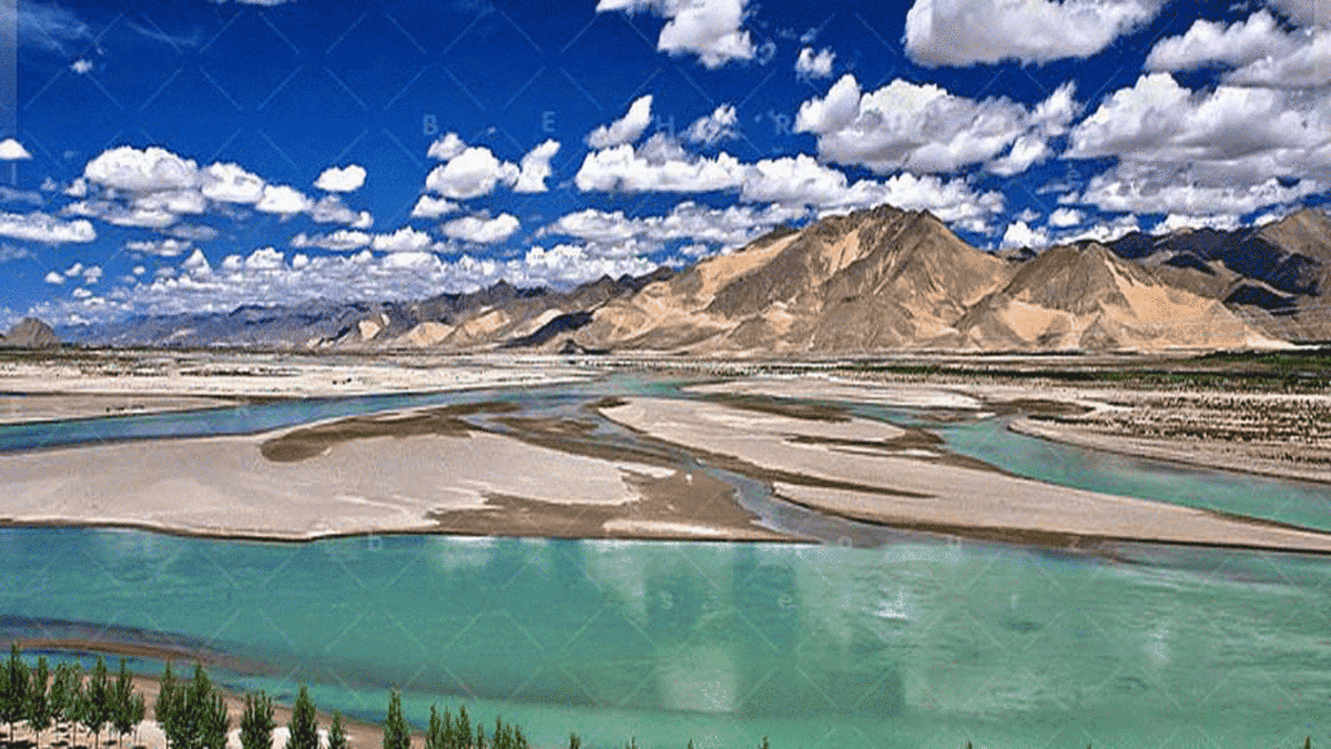 مهارت تیراندازی یک کماندار + فیلم