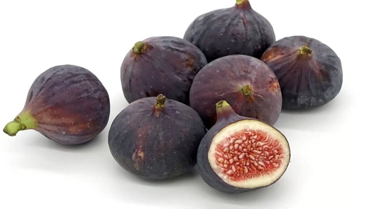 تغذیه مناسب در فصل پاییز + فیلم