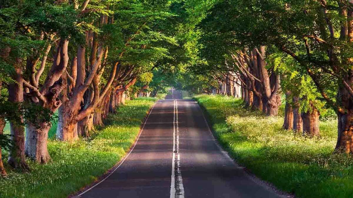 اژد‌های آبی ۷۲ میلیون ساله در ژاپن کشف شد + فیلم