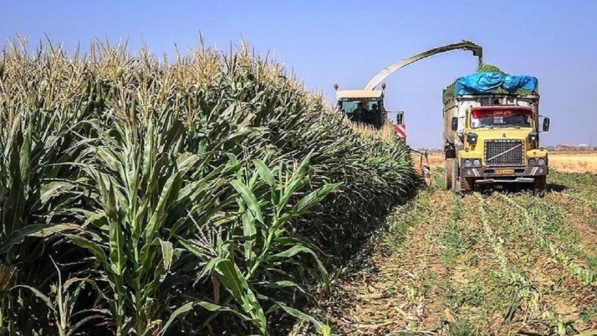 پاییز روستای «ارتش آباد»