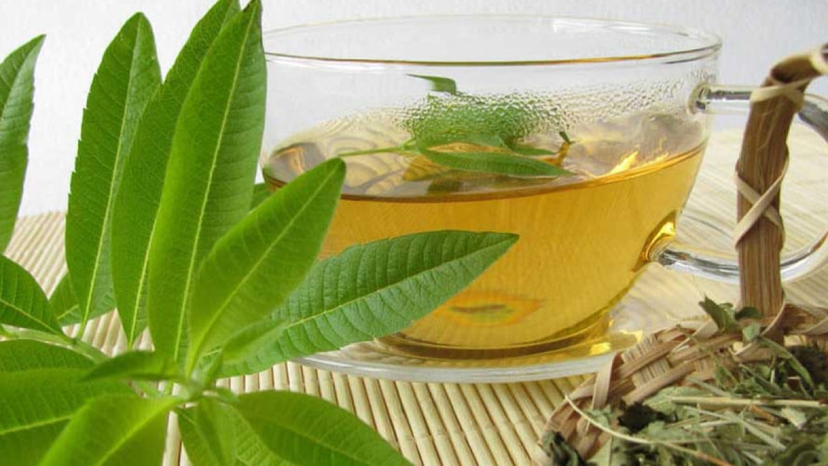 گیاه پنیرک چه کاربردی دارد؟ + فیلم