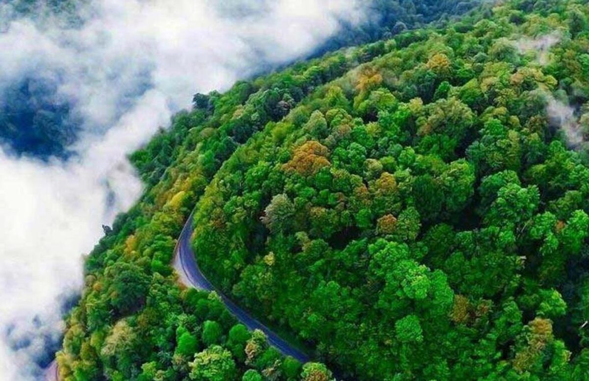 بزرگترین صخره مرجانی جهان + فیلم