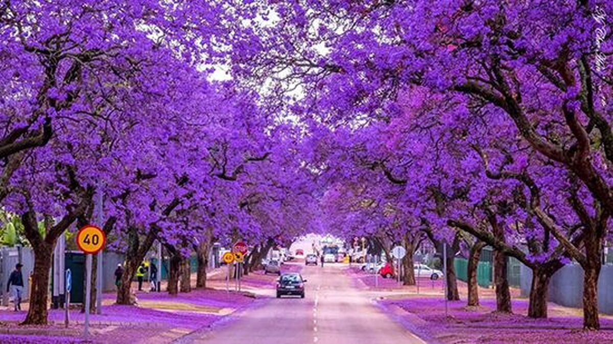 حوضچه‌ای بکر و تمیز در شما ایران + فیلم