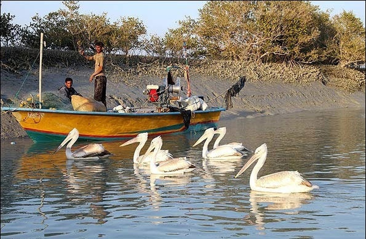 تصاویری زیبا از طبیعت استان هرمزگان